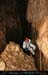 chazot0811_in108