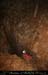 chazot0811_in109