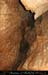 chazot0811_in206