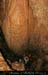 chazot0811_in401