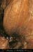 chazot0811_in402
