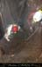 chazot0811_in412