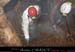 chazot0811_in422