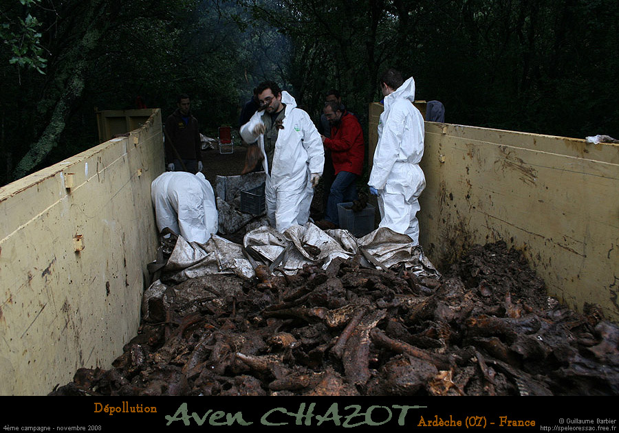 chazot0811_tri08gb