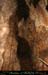 chazot0905_p1bs12mm