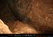 chazot0905_p1pr17mm