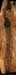 chazot0905_p2ppanomm