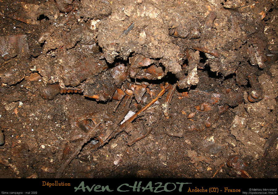 chazot0905_p828mm