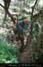 chazot0905_puitsht11jl