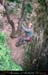 chazot0905_puitsht14jl