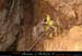 chazot0905_puitsbs17mm
