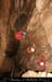 chazot0911_in330mm