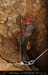chazot0911_in414mm