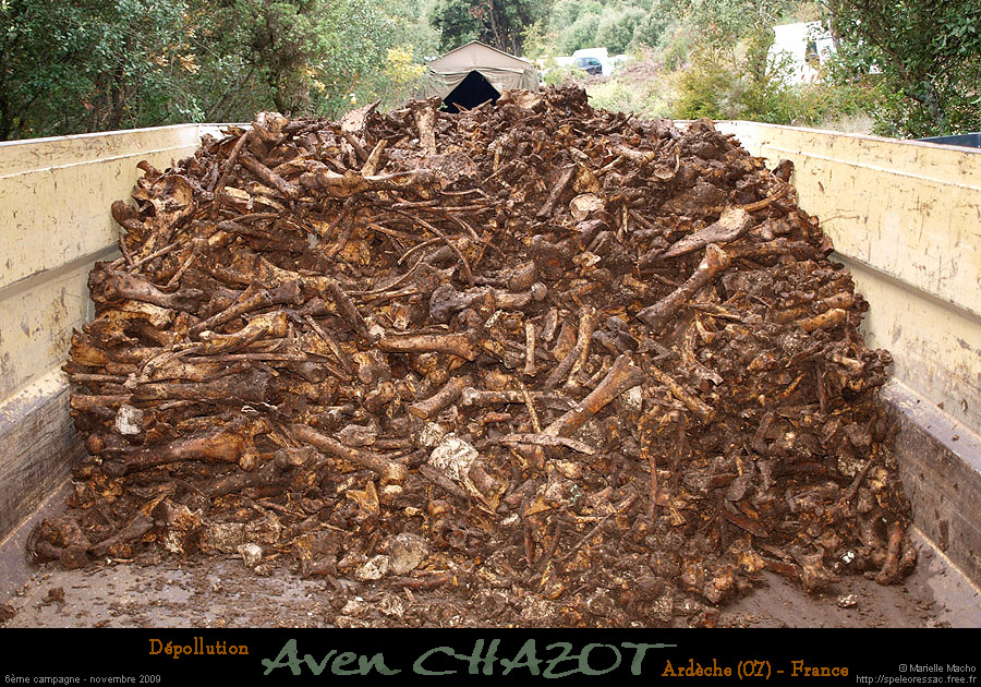 chazot0911_tri10dm
