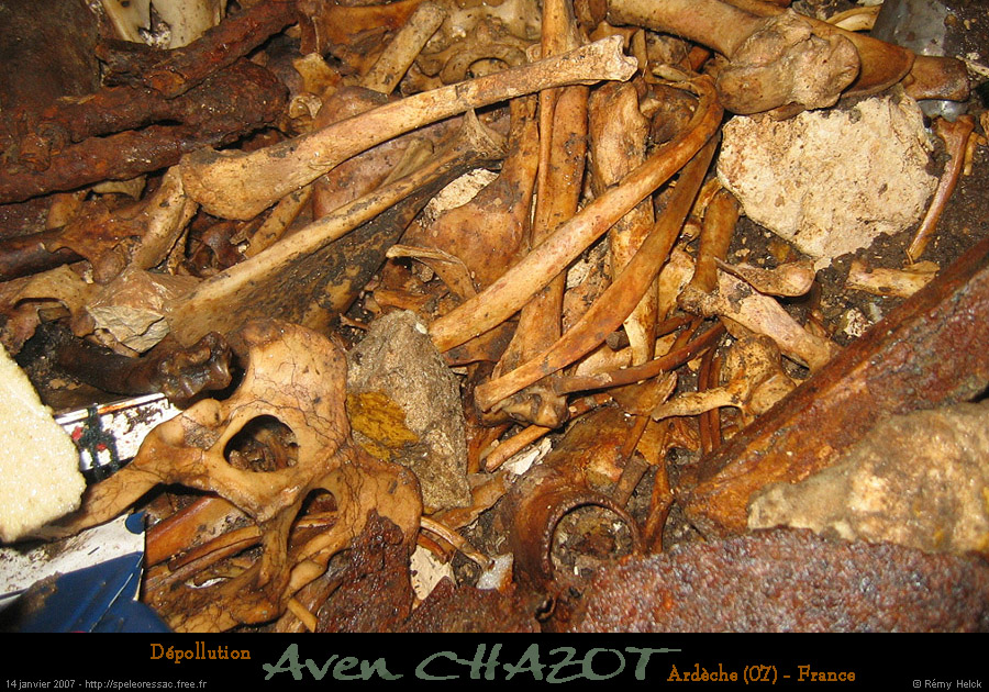 20070114_chazot21