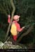20070114_chazot01