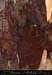 20070114_chazot43