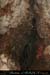 20070114_chazot49