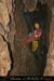20070121_chazot11