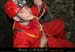 20070203_chazot23
