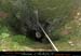 20070301_chazot_08