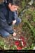 20070301_chazot_21