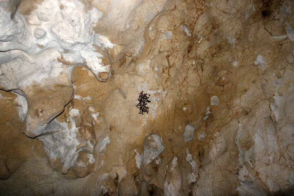 20100114_001