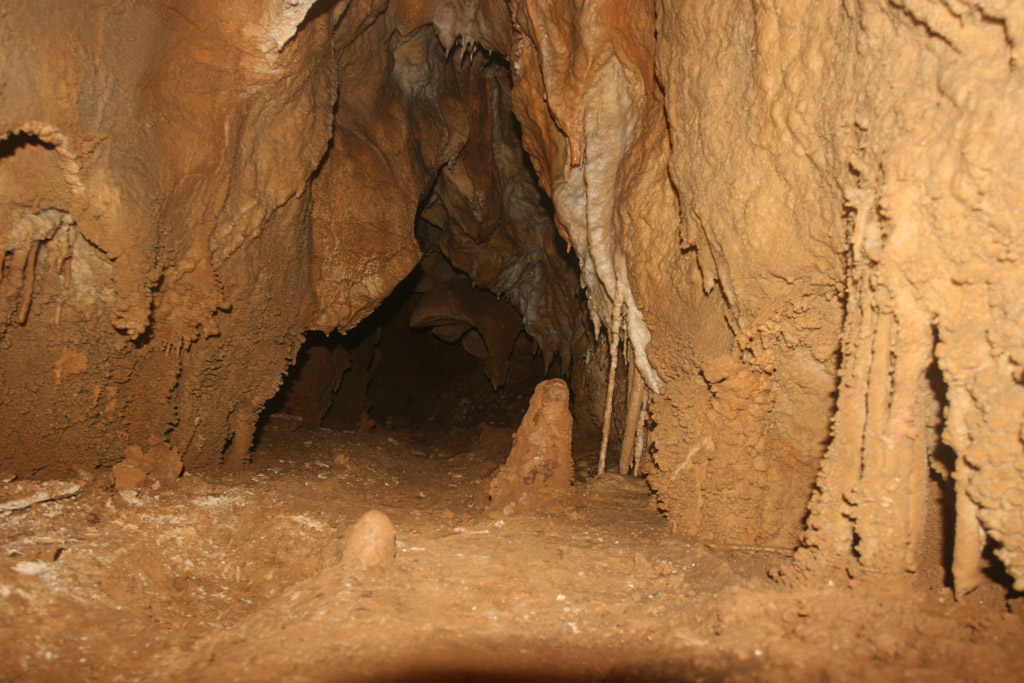 20100114_038