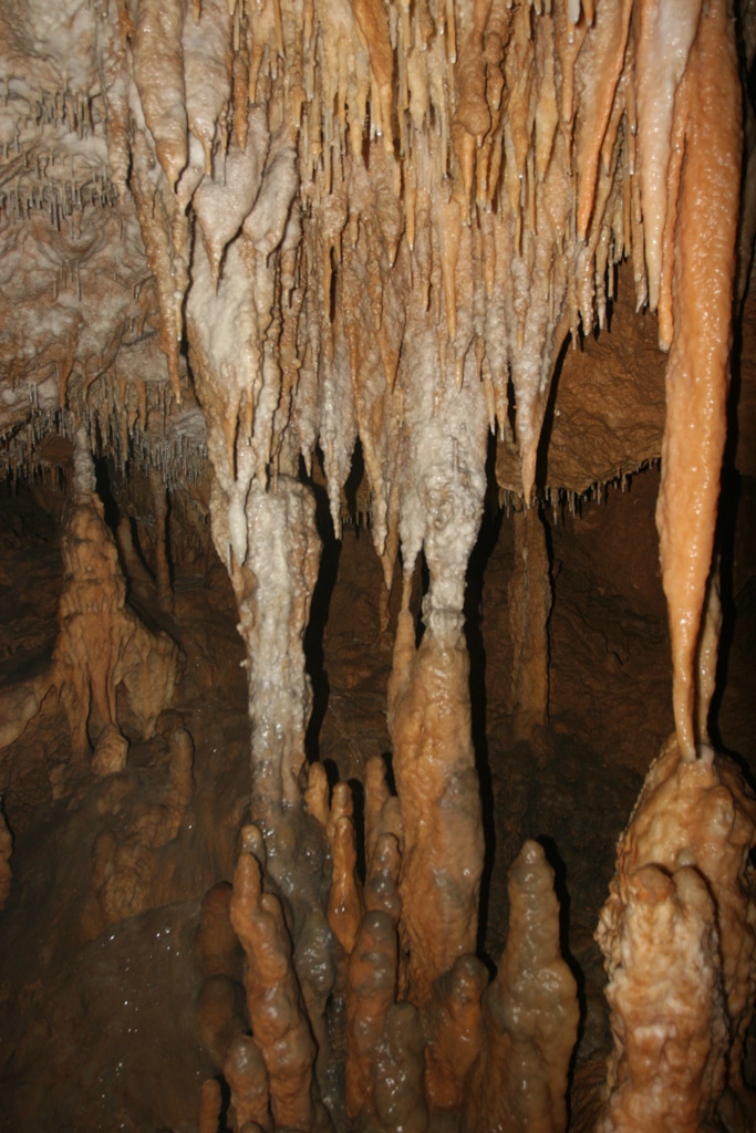 20100114_071