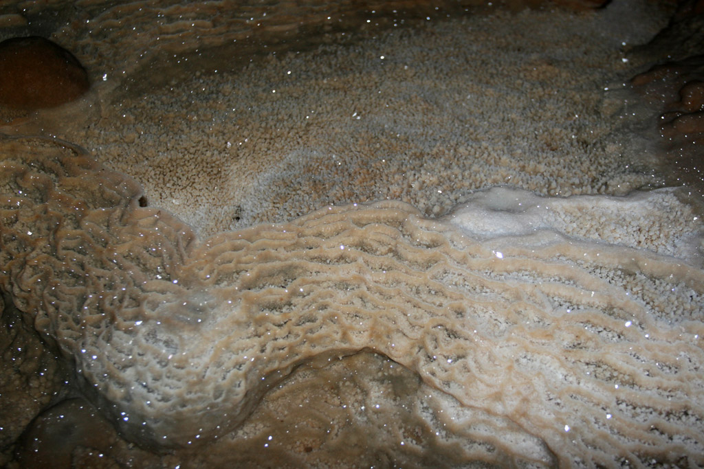 20100114_087