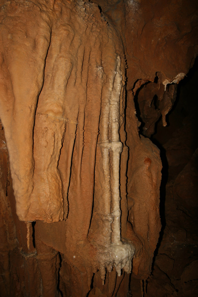 20100114_109