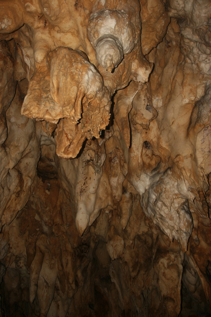 20100114_134