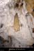 20001112_grottederoc_stalagticte_1