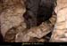 20010604_grotteduderoc_20