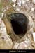 20030510_grottenouvelledevallon_entree_3