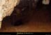20030510_grottenouvelledevallon_in_3