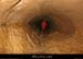 20070725_peyrejal103