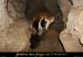 20081219_5fenetres_couloir1_3