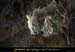 20081219_5fenetresniv2wbaume_8