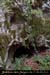 20020825_avendes9gorges_entree_04