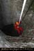 20080210_9gorges_09