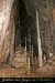 20080210_9gorges_42