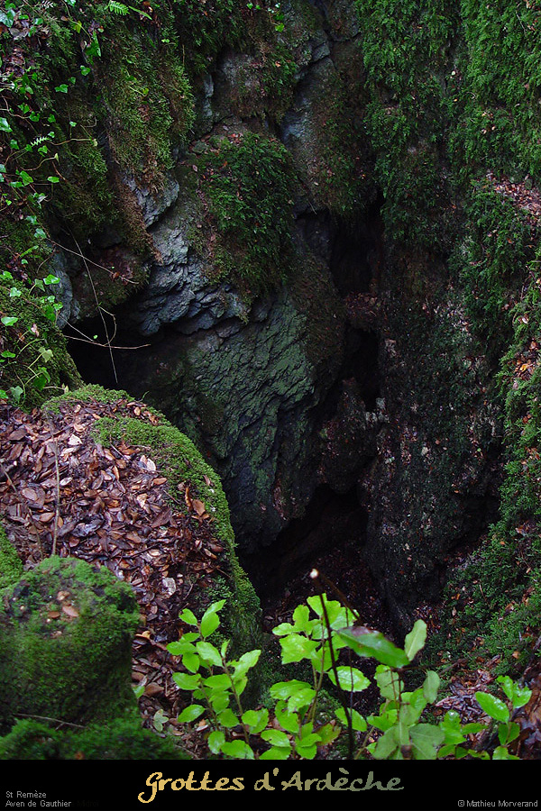 20020824_avendegauthier_entree_13