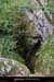 20020330_avendecentura_6