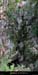 20020330_avenderichard1_2