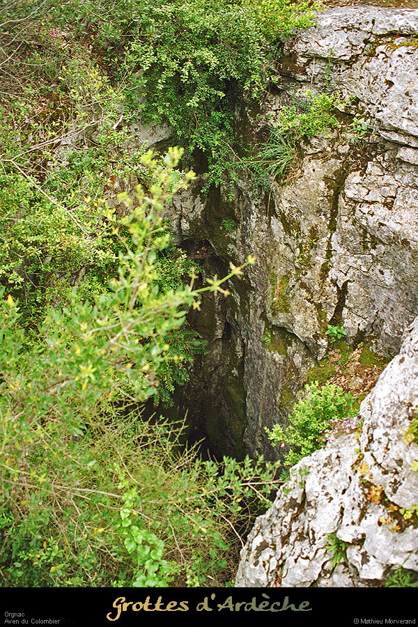 20020509_avenducolombierpresforestiere_2