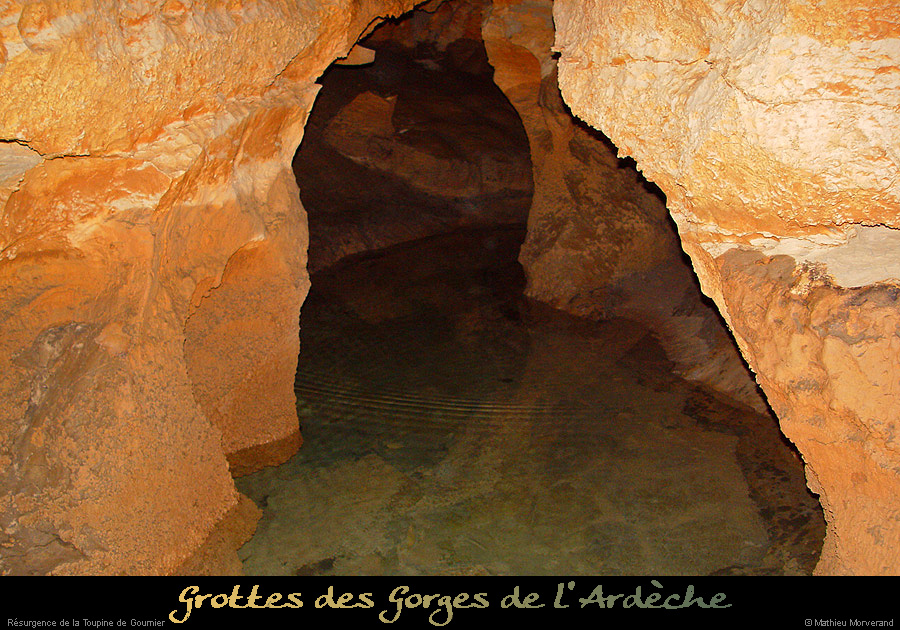 20041230_resurgencedelatoupine_in_3