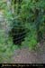 20010823_grandaven_1