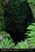 20010823_grandaven_2