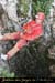 20080308_ad10